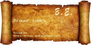 Brauer Endre névjegykártya
